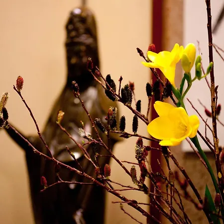 Kimi Ryokan-2