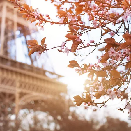 Timhotel Tour Eiffel-2