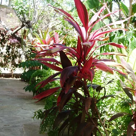 Hotel Casa Barcelona-2