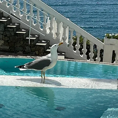 Hotel Helvetia-2