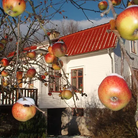Mellangården i Äpplerum-3