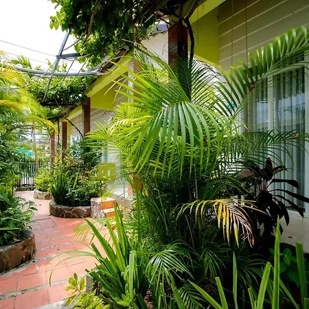Bungalow Mai Phuong Binh-2