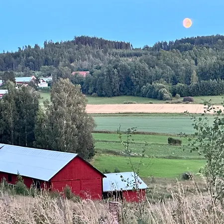 Musteriet i Djursdala-3