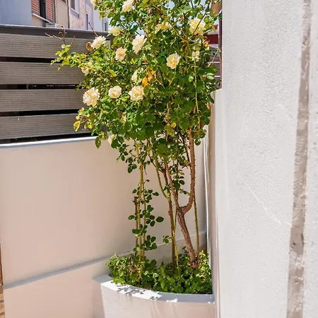 Helios House-2