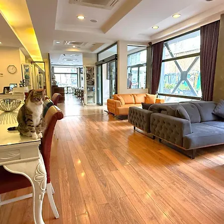 Hotellino Istanbul-3