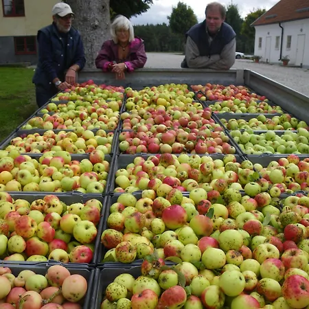 Mallas Stenstugu B&B-3