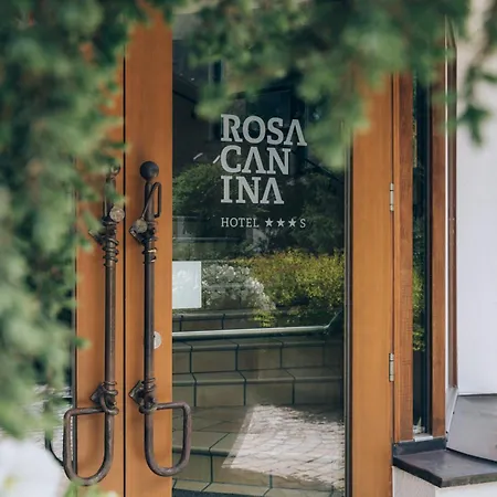 Rosa Canina Superior-3