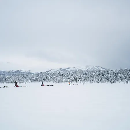Jotunheimen Husky Lodge-3