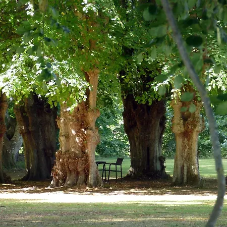 Lerbæk Hovedgaard-3