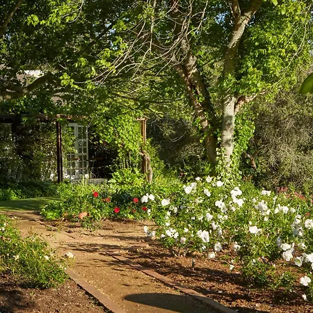The Devon Valley Hotel-3