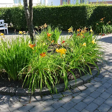 Quality Hotel Olavsgaard-2