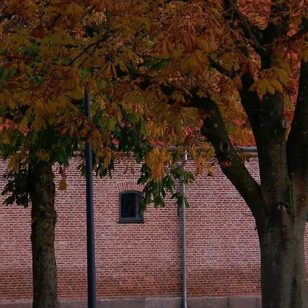 Hindsgavl Slot-3