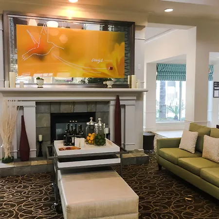 Hilton Garden Inn Houston/Galleria Area-2