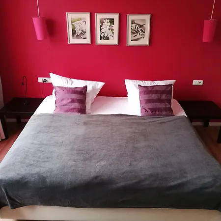 Hotel Purpur-2