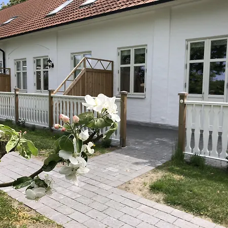 Kastanjelund-3