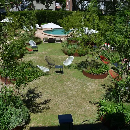 Primero Primera-3