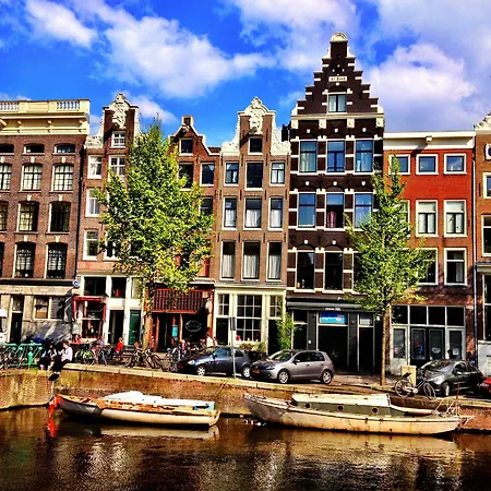 Tulip Of Amsterdam-3