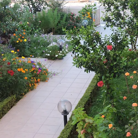 Golden Rose Suites-3