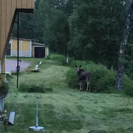 Värdshuset Lugnet-3