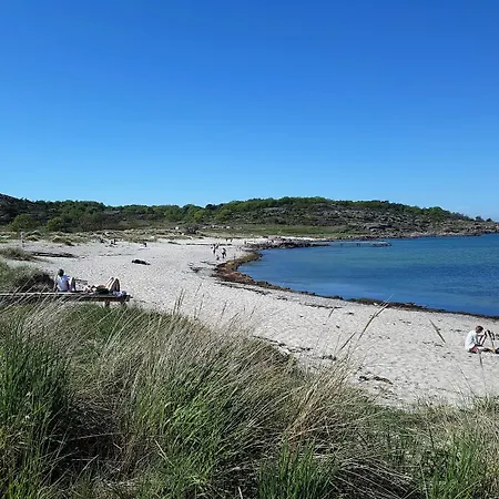 Hammerknuden-3