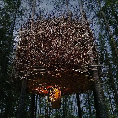 Treehotel-2