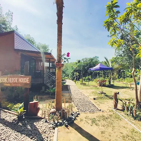 Kohmook Nurse House-2