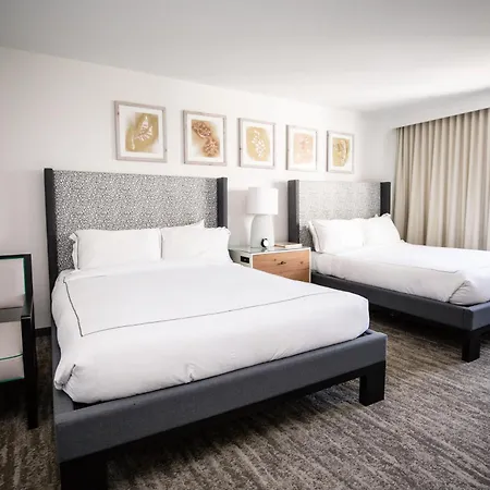 Glover Park Hotel Georgetown-3