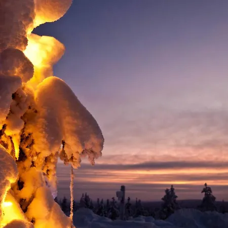 Lapland Hotels Pallas-2