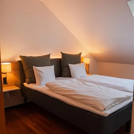 Hotel Scheelsminde-2