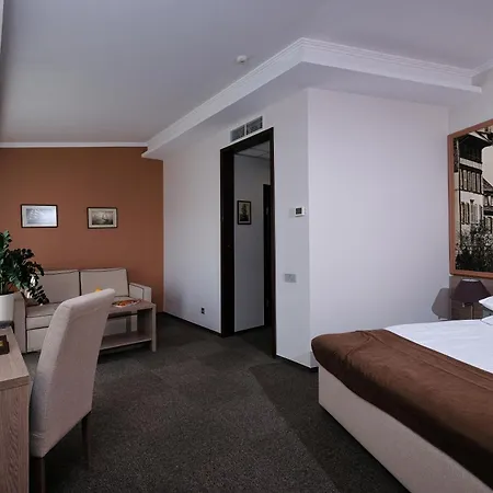 Rius Hotel Lviv-2