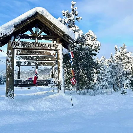 Bjorliheimen Fjellhotell-Hotellrom-2