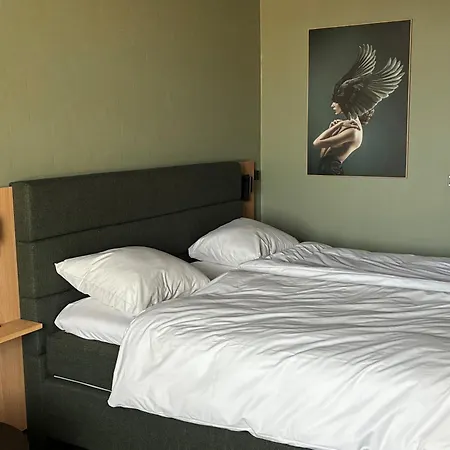 Hotel Hedegaarden-2