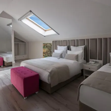 Le Petit Palace Hotel - Special Category-2