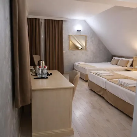 Hotel Aris-3