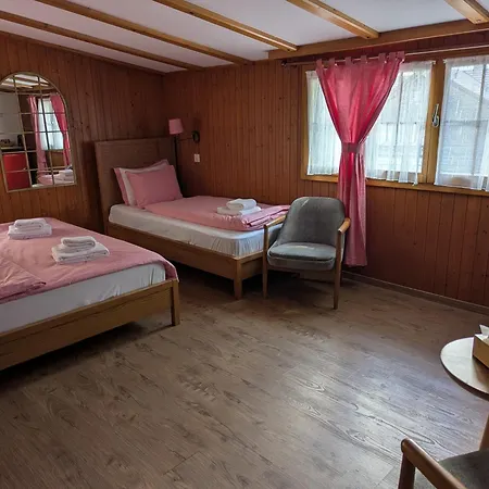 Hotel Schuetzen Lauterbrunnen-3