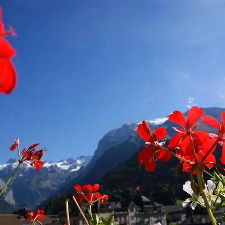 Hotel Schweizerhof-2