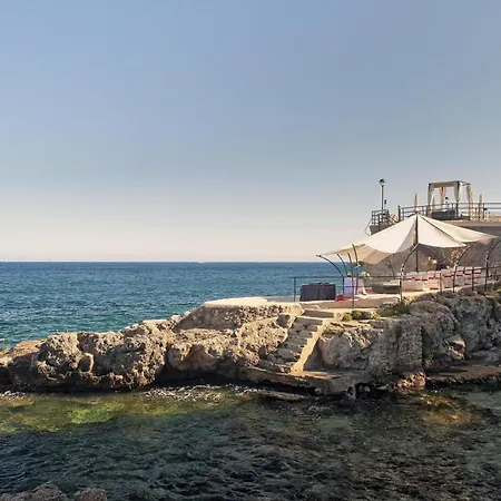 Barcelo Illetas Albatros - Adults Only-2