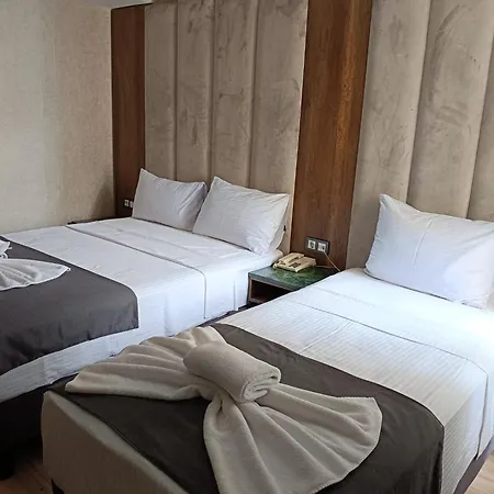 Hotel Buyuk Paris-3