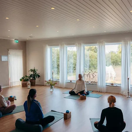 Ölands Yoga Studio&Islandshästar, Stugor&Rum-3