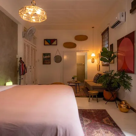 Casa Botanica-2
