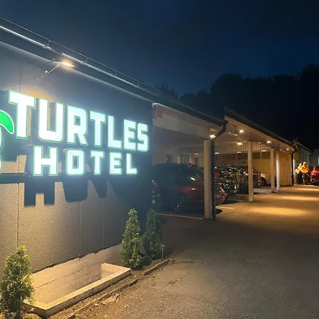 Turtles Hotel-3