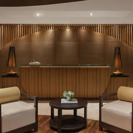 Melia Desert Palm Member Of Melia Collection-2