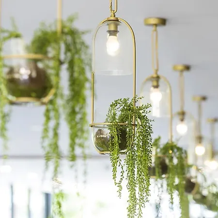 Vibe Hotel Rushcutters Bay Sydney-3