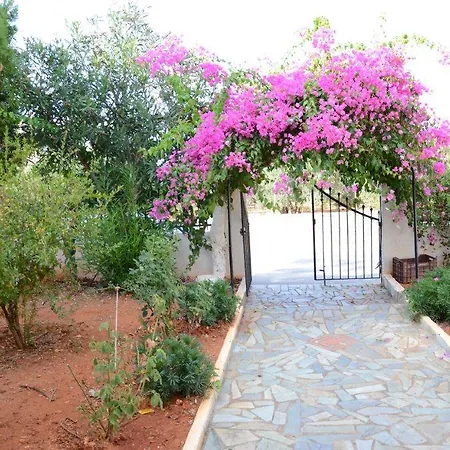 Alex Home Apartments-3