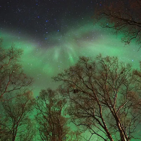 Solhov, Castle Of The Lyngen Alps-2