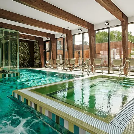 Wasa Resort Hotel, Apartments & Spa-2