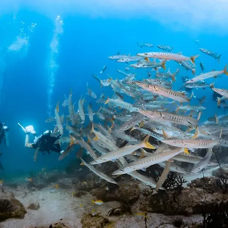 Forra Dive Resort Sunrise-3