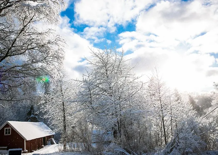 Almas gård Hotell Ullared