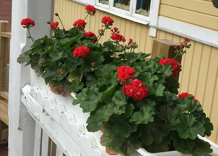 STF Tre Björnar B&B Älvdalen