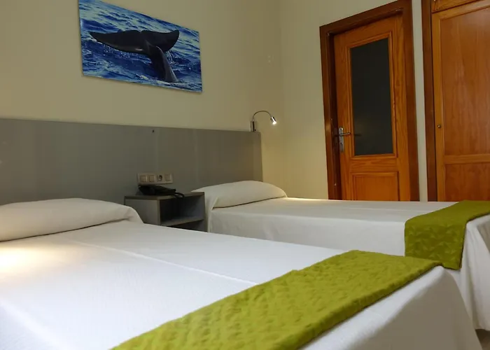 Hotel Andrea´s Los Cristianos 